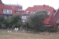 DSCF6225