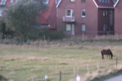 DSCF6245