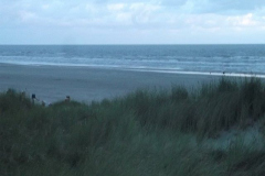 DSCF6251
