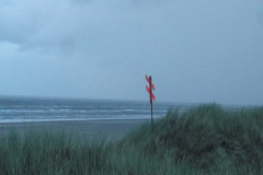 DSCF6254