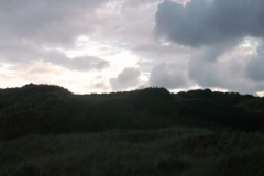 DSCF6261