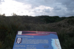 DSCF6267