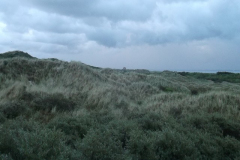 DSCF6269