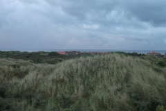 DSCF6270