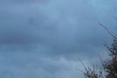DSCF6278