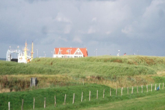 DSCF6293