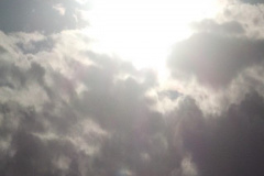 DSCF6295