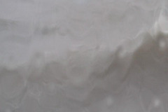 DSCF6382