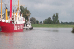DSCF6529