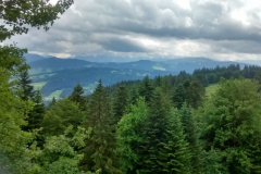 IMG_20150623_132820714_HDR