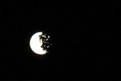 IMG_1679