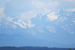 IMG_1756