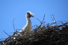 2016 - i57_Ham_Radio_Tour_06_2016  - 23_06_2016