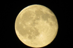 IMG_1677
