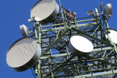 IMG_3222
