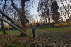IMG-20171117-WA0028