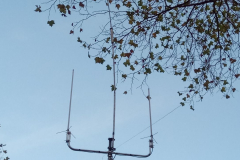IMG-20171117-WA0029