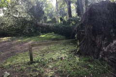 2017 - i57_Unwetter_Clubheim_10_2017