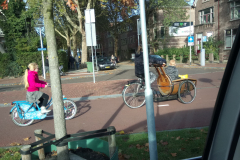 IMG-20181103-WA0003