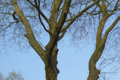 P1020614