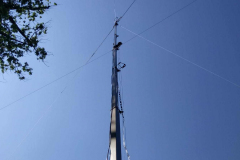 IMG-20190824-WA0026