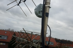IMG-20190209-WA0026