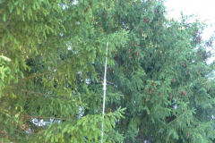 P1050646