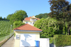 P1050760